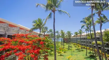 Barcelo Bavaro Palace - All Inclusive
