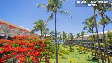 Barcelo Bavaro Palace - All Inclusive