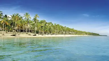 BARCELO BAVARO PALACE