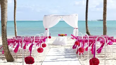Barcelo Bavaro Palace