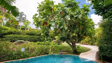 Barcelo Coconut Island