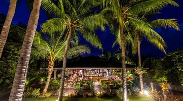Barcelo Coconut Island
