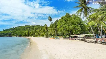Barcelo Coconut Island