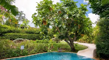 Barcelo Coconut Island