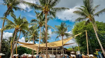 Barcelo Coconut Island