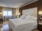 Barceló Granada Congress