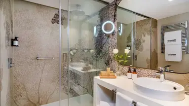 Barcelo Malaga