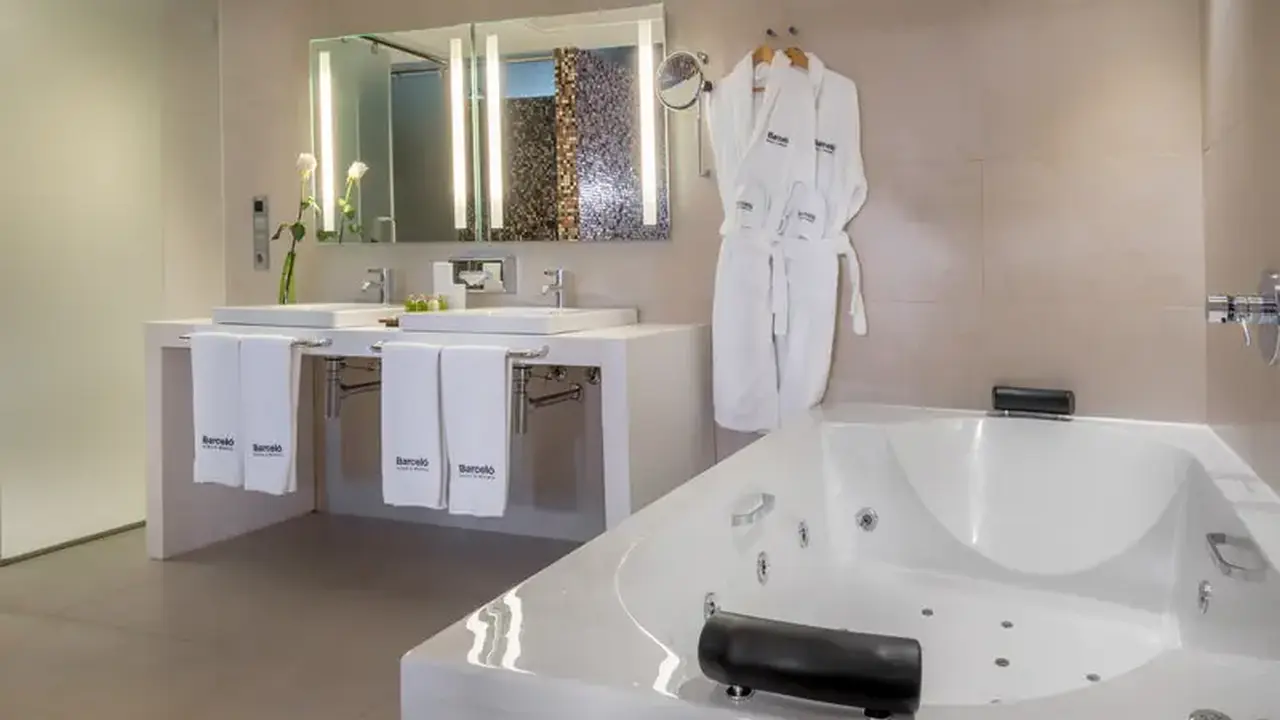 Barcelo Malaga