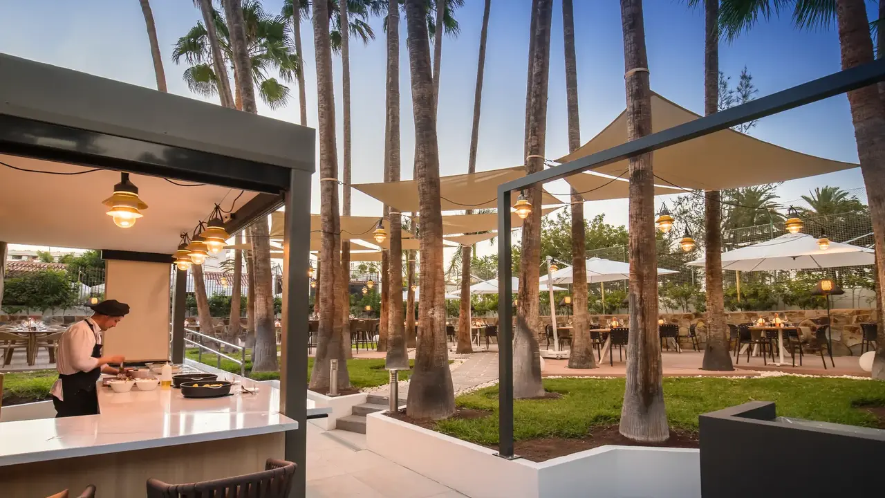 Barcelo Margaritas Royal Level Adults Only 16+