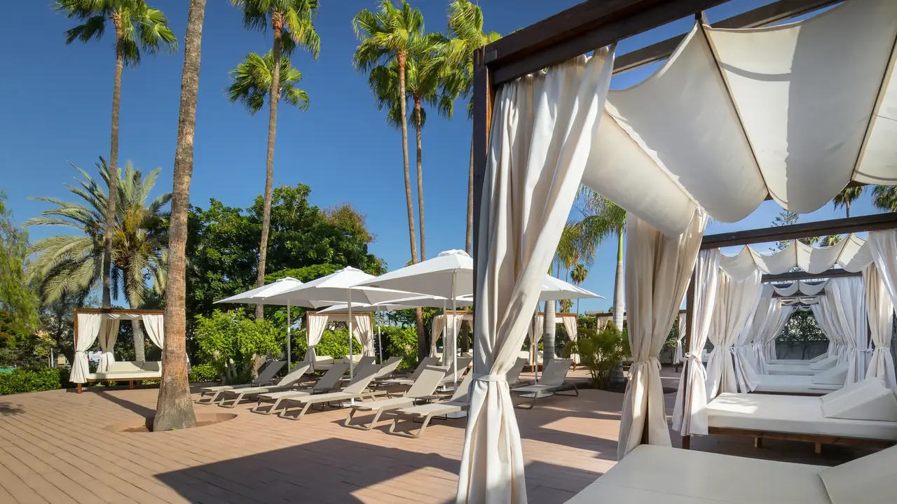 Barcelo Margaritas Royal Level Adults Only 16+
