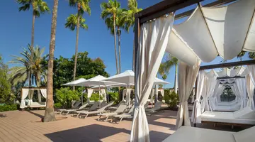 Barcelo Margaritas Royal Level Adults Only 16+