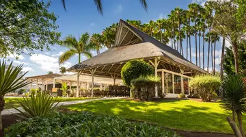 Barcelo Margaritas Royal Level Adults Only 16+