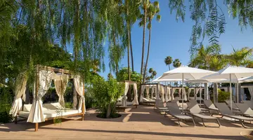 Barcelo Margaritas Royal Level Adults Only 16+