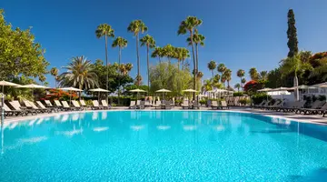 Barcelo Margaritas Royal Level Adults Only 16+