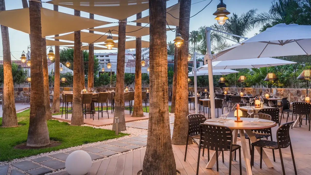 Barcelo Margaritas Royal Level