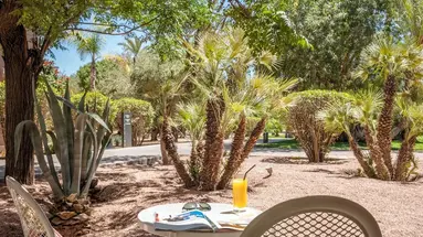 Barcelo Palmeraie Oasis Resort