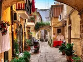 Bari