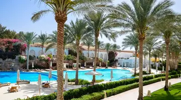 Baron Palms (Adults Only 16+)