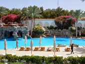 Baron Palms (Adults Only 16+)