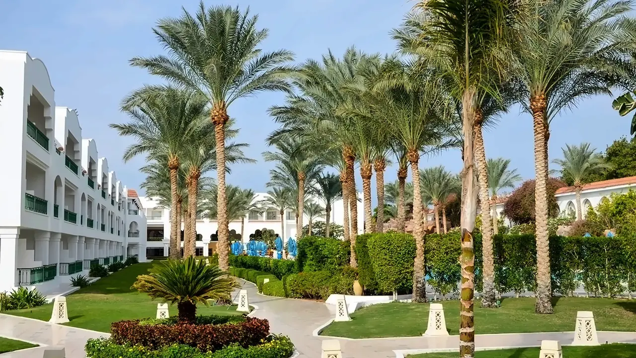 Baron Palms (Adults Only 16+)