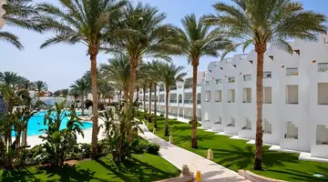 Baron Palms (Adults Only 16+)