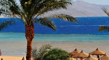 Baron Palms (Adults Only 16+)