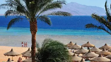 Baron Palms Resort (Adults Only 16+)