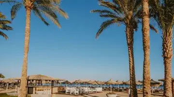 Baron Palms Resort (Adults Only 16+)