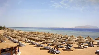 BARON PALMS RESORT