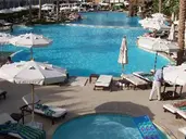 Baron Palms