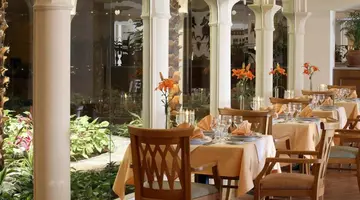 Baron Palms