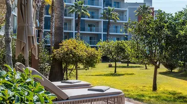 BARUT GOIA