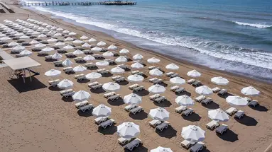 Barut Goia