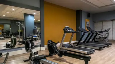 BARUT GOIA