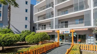 Barut GOIA