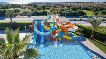 Barut Goia