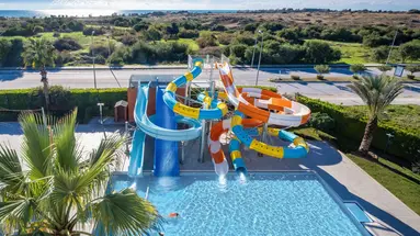 Barut Goia