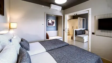 Barut Goia