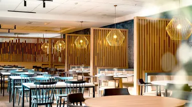 Barut Goia