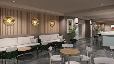BARUT GOIA