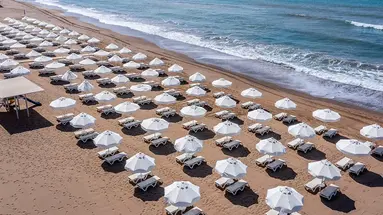 BARUT GOIA
