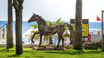 BARUT HEMERA