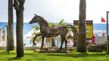 BARUT HEMERA