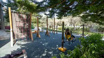 Barut Hemera