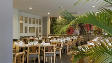 Barut Hemera