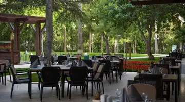 Barut Hemera
