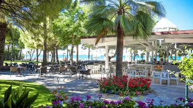 Barut Hemera
