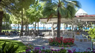 BARUT HEMERA