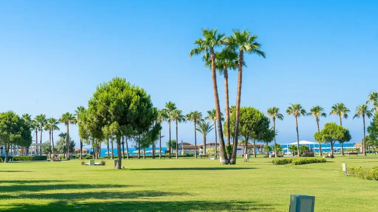 BARUT LARA COLLECTION