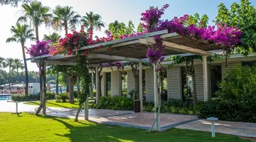 BARUT LARA COLLECTION